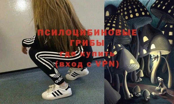 индика Дмитров